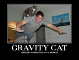 Gravity_Cat_lends_his_powers_for_just_a_moment