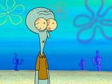 squid scared