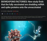 vaxShedding3