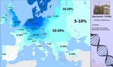 germanic_y_dna