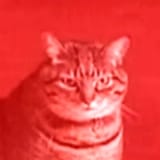 1735942275139804