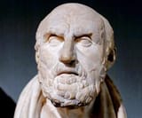 kidpaw-chrysippus-8012