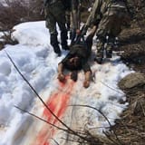 kurdbtfo