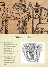 17515720518982