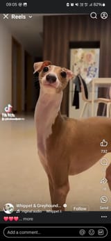 Screenshot_20250609_090504_Facebook