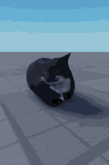 cat-rock