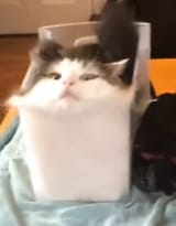 huhhh