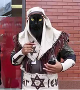 cat_bhi1