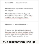 The Serpent Did Not Lie