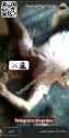 Img34536_thumb.jpg