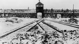 150127115430_auschwitz_rusos_624x351_afp-469484742