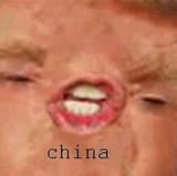 1731296255867760
