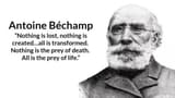 bechamp-life