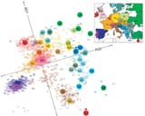 Map-of-European-populations-genetic-distance-with-a-map-of-Europe-From-Novembre-et-al
