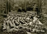 Bohemian-grove-0905-06