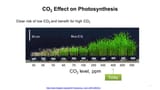 CO2 climate photosynthesis