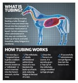 00tubing_milkshaking