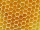 images[1]