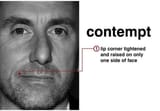Contempt