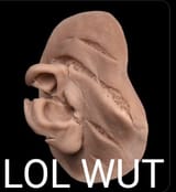 lobewut