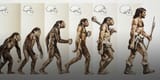 human-evolution-gettyimages-122223741