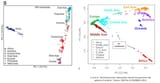 genetic distance with source