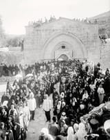 palestine 3