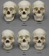 biology