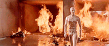 terminator2