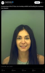 2025-07-20_07-39-42