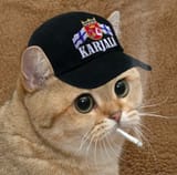karjala kissa