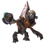 3320327-0641998161-Grunt