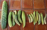 cornichon-pickle