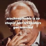 arachnophobia