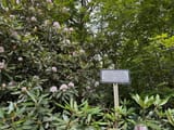 signs2