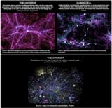 Universe, Human Cell And Internet(1)(1)(1)(1)