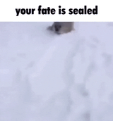 1735813815317723
