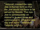 to serve jews