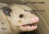 trashpossum