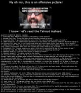 jewtalmud28