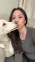 chinks dog_thumb.jpg