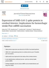 ExpressionOfSpikeInCerebralArteries