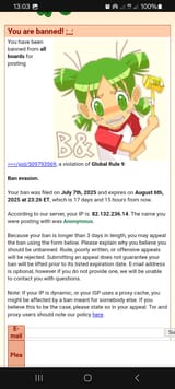 Screenshot_20250720_130326_Brave