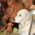 8jr9U7eId0jxbsKTxkfVZI2HUaLXTghRJ886Qqw5FX0_thumb.jpg