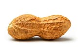 peanut-062013-sb-tif