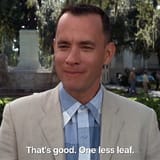 67c6bdc7d961670822c5c8ab662ca7176d-21-forrest-gump.rsquare.w330