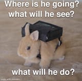 bun travel