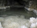Nettlebed Cave_ The Pool of Crystals (Photos) – Geology In