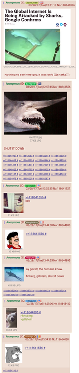 sharks-shut-down-internet-Finstein