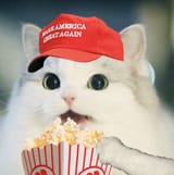 popcorn